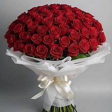 Букет 101 Красная роза Блэк Мэджик #REPLACE_PRED# Виля