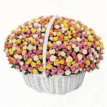 Премиум букет из: Розы в Виля