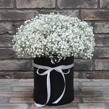 Цветочная композиция из Гипсофила в шляпной коробке в Виля