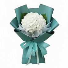 Букет цветов из:  Гортензия #REPLACE_PRED# Виля